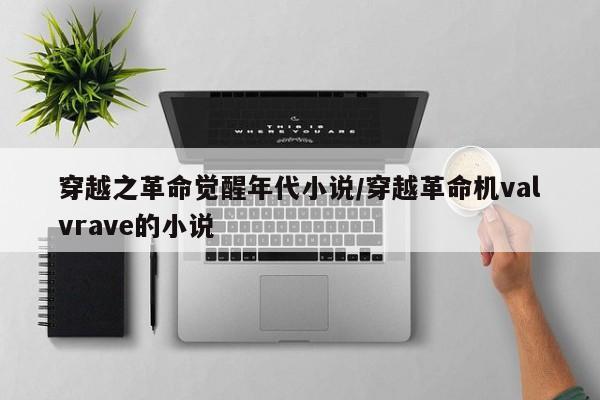 穿越之革命觉醒年代小说/穿越革命机valvrave的小说