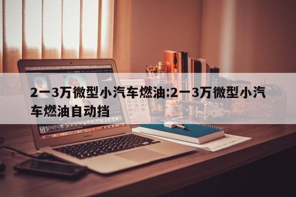 2一3万微型小汽车燃油:2一3万微型小汽车燃油自动挡