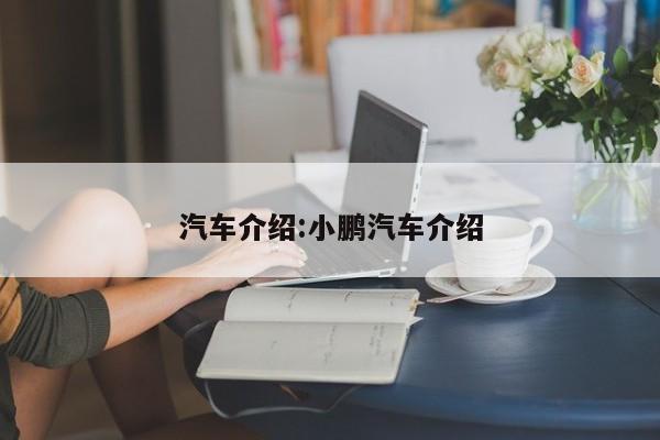 汽车介绍:小鹏汽车介绍