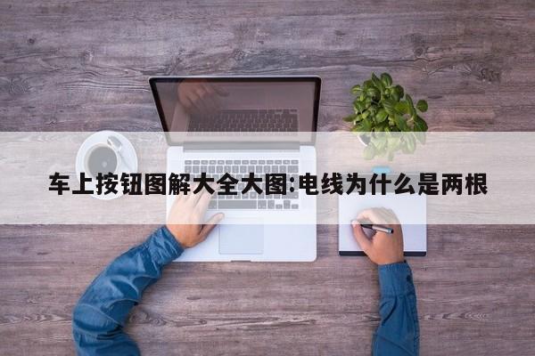 车上按钮图解大全大图:电线为什么是两根