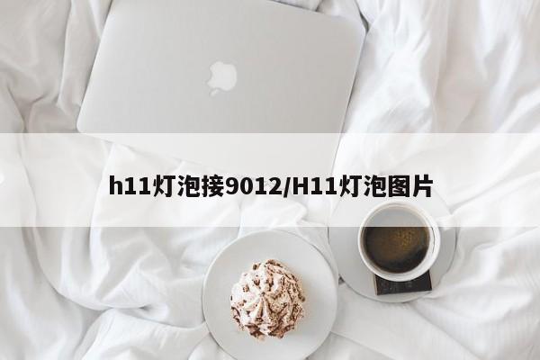 h11灯泡接9012/H11灯泡图片