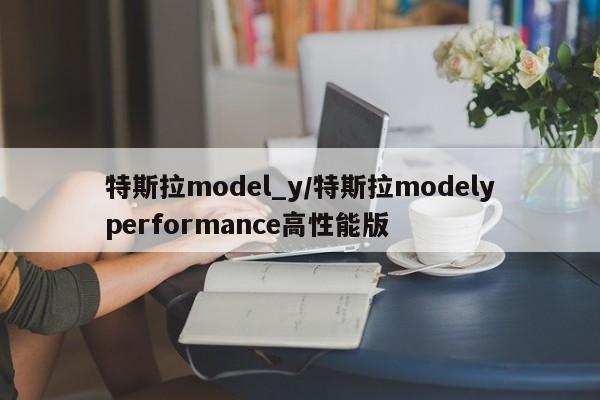 特斯拉model_y/特斯拉modelyperformance高性能版
