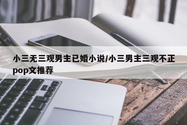 小三无三观男主已婚小说/小三男主三观不正pop文推荐