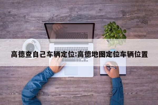 高德查自己车辆定位:高德地图定位车辆位置